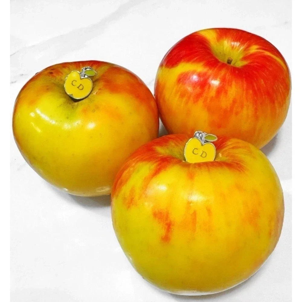 Christian Dior Apple Earrings - Picture 1 of 1